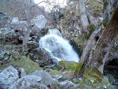 apartamento,cabrales,apartamentos,rural,rurales,en,de,cabrales apartamento,apartamentos,rural,rurales,cabrales